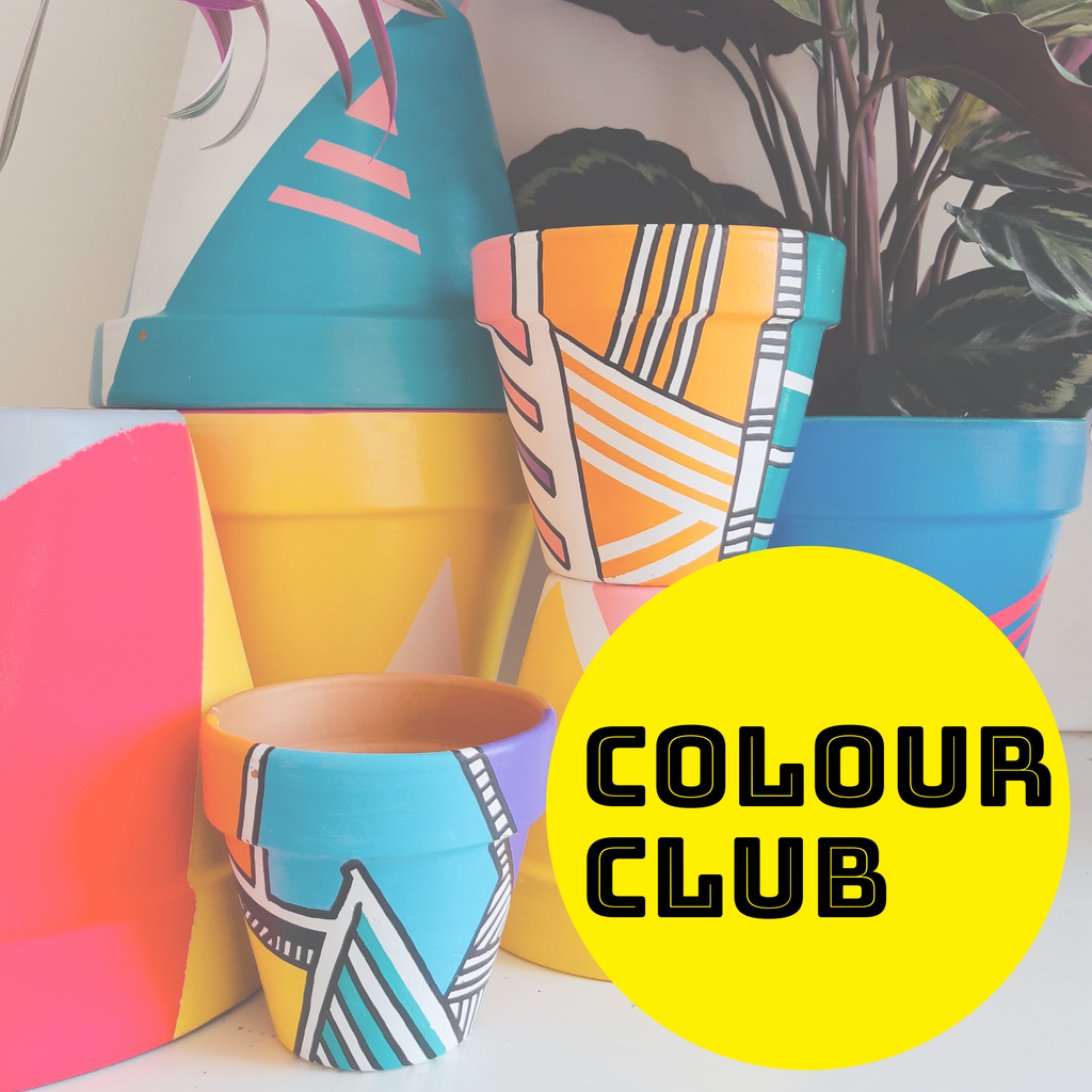 Colour Club Pot Painting With Eloisa Henderson