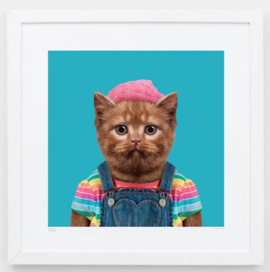 Abby, the British Shorthair Cat Art Wildlife Yago Partal for We Built This City 2