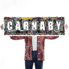 carnaby soho letters typography illustrated animals buildings art gift
