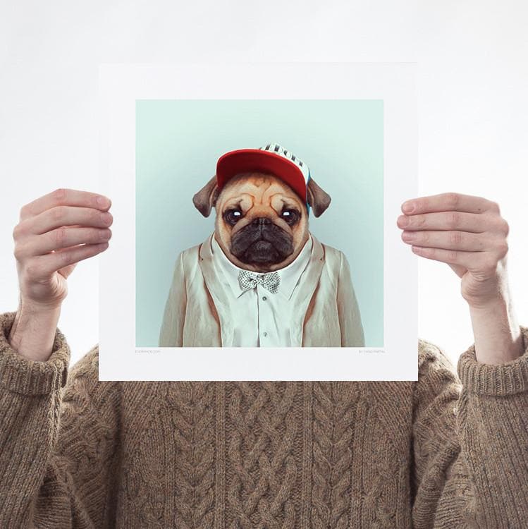 Pug Art Wildlife Yago Partal for We Built This City 1