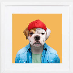 Charlie, the English Bulldog Art Wildlife Yago Partal for We Built This City 2