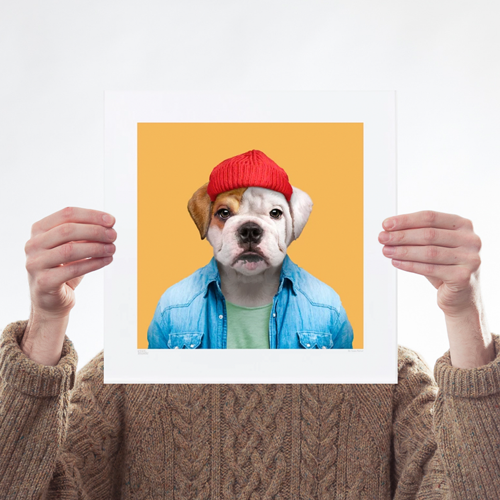 Charlie, the English Bulldog Art Wildlife Yago Partal for We Built This City 1